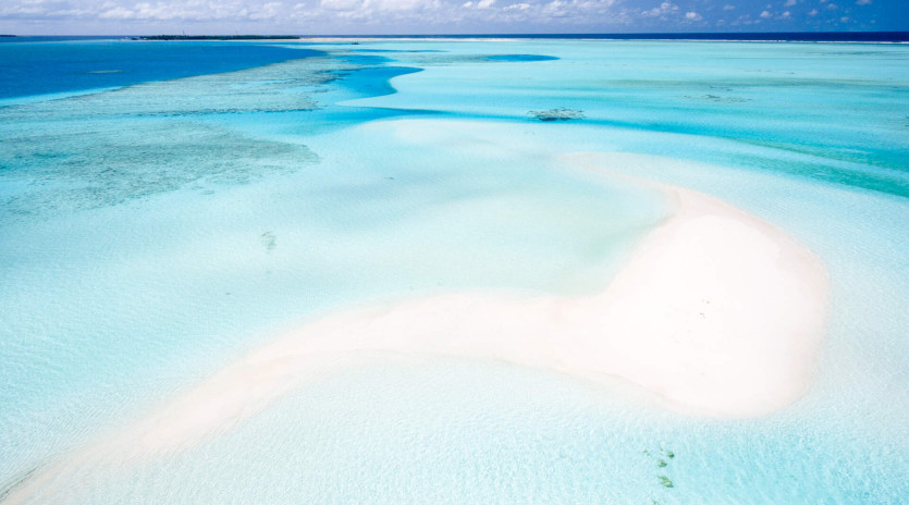 blue_winged_teal_at_kamalame